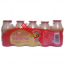 100ml娃哈哈*乳酸菌1*40