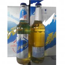 500ml勇闯天涯*雪花冰山1*12